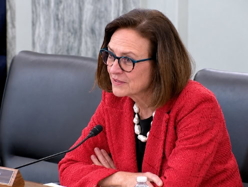 Sen. Deb Fischer questions experts on U.S. presence in Greenland