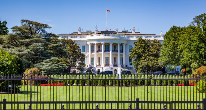 Online Violence and Executive Protection
