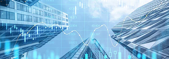 Stakeholder strategy and advisory